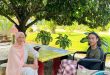 Damailah Hati